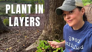 The Secret to a Beautiful Woodland Garden Plant in Layers