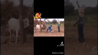 ابتسامة الابتسامة في وجه أخيك صدقة 