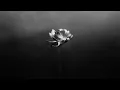 Little Simz   Lion feat  Obongjayar slowed