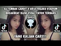 Download Lagu DJ TEMBAK LANGIT VELOCITY X ARIA FREAKS STADIUM BREAKBEAT VIRAL TIKTOK TERBARU 2025 YANG KALIAN CARI