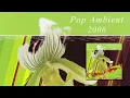 Klimek - Gymnopedie 1 'Pop Ambient 2006' Album