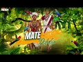 Lagu Mate Rahibe (Remix) DJNish I Anuj Sharma I 2025