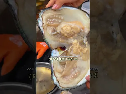 What came out from inside the shell? 👀