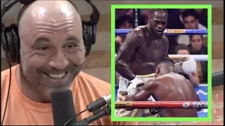 joe rogan on deontay wilders crazy ko of ortiz