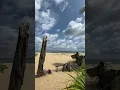 Download Lagu Jahazi House in Kizingoni beach Lamu Kenya