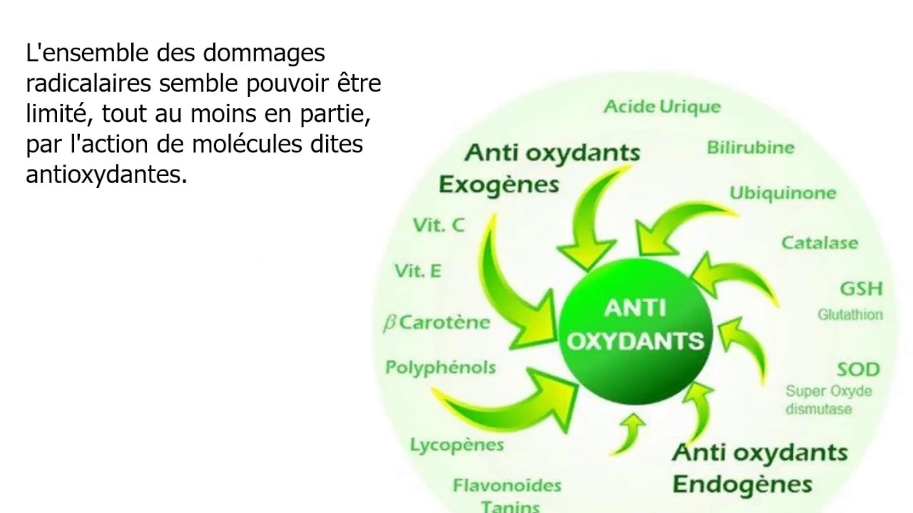 Espèces réactives de l’oxygène (ROS) : rôles, effets et stress oxydatif