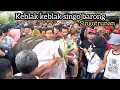Lagu keblak keblak singo barong- live singotrunan