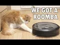 So we got a Roomba
