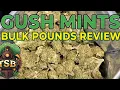 THCA Small Buds - Gush Mints Bulk Pounds