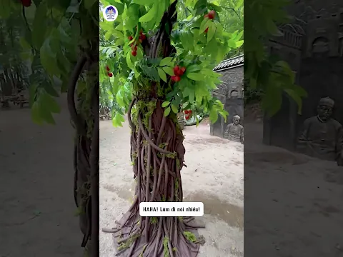 Trưa Nắng Vẫn Bắt Đóng Đinh Và Cái Kết!