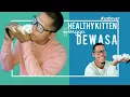Lagu #catlover #kucingpersia #bayikucing Tips Merawat Anak Kucing Persia (With English Subtitle)