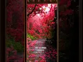 Download Lagu 113 surah Al falaq by Mishary Al Afasy..#قرآن . #islam #viral #shortvideo