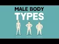 Male Body Types Different Somatotypes
