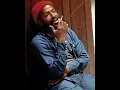 Download Lagu Marvin Gaye-My Love Is Waiting(Sped-Up)
