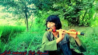 توله زیبای دهاتی نور محمد فدایی 