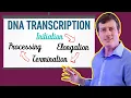 DNA Transcription Made EASY Part 1 Initiation