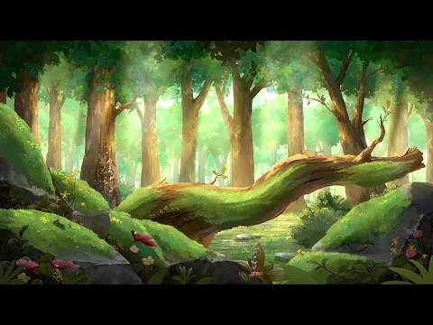 12 hours of forest sounds 🌳 cozy ambience to sleep/chill to