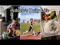 Download Lagu A day in my life as a professional athlete / Vlog Alica Schmidt