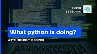 Disassemble the python byte code Inspect the python code