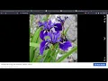 PCA and LDA Tutorial