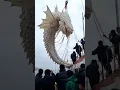 From Tiny Creatures to Sea Monsters