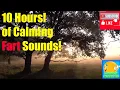 Download Lagu 10 Hours of Calming Fart Sounds to Fall Asleep to, Meditation, Relaxation,