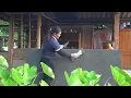 Download Lagu COI plastering the kitchen counter surface - Buying corn flour to feed the ducklings