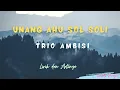 Download Lagu Lirik Lagu Batak dan Artinya Unang Au Sol Soli - Trio Lantama | Lagu Batak Nostalgia
