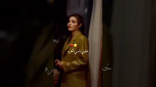 نور الزين طبع الحية تصميم حالات واتس 