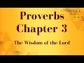 Proverbs chapter 3 NIV Bible reading with scrolling text