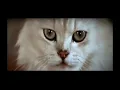 Diamonds Are Forever Theme Song - James Bond