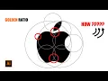 Golden Ratio Apple Logo Adobe Illustrator Tutorial