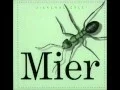 Download Lagu Jingle I. r. p     Dj Mier  2015
