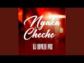 Lagu NGAKA CHECHE (Radio Edit)