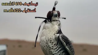 خليجي طرب انتهينا انتهينا مسرع حسين الجسمي 