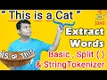 Word Extraction in Java - All Methods Split StringTokenizer Basic method String in Java