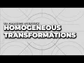Homogeneous Transformations 3D Graphics Overview