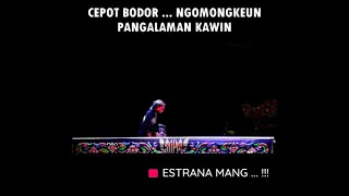 Download SI CEPOT JORANG!!! Ngomongkeun Pangalaman Kawin Kuat ka Nyeri Kulit Beuteung Pikaseurienna MP3