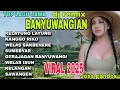 Download Lagu TOP LAGU JAWA 👍DJ REMIX BANYUWANGIAN VIRAL 2025_KELAYUNG LAYUNG_KANGGO RIKO @INTANMANDASARI 