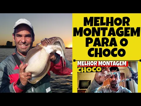 As 10 melhores dicas para apanhar mais Choco