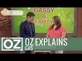 Dr Oz Explains Gas