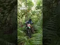 Tangcasan Loay Bohol Enduro Trail.