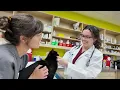 Inside a Vetco Total Care Externship Vet Student Alexandra Neves s Experience