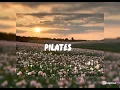 PILATES | Aria Bela | @CAMI_LOVE-15 👑🌸