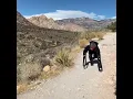 Michael Munoz stunt workout Armxtends