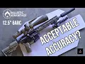 Is the Ballistic Advantage 6ARC Barrel Worth It Final Accuracy Test