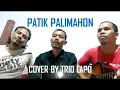 Lagu Batak Patik Palimahon Cover by Trio Lapo