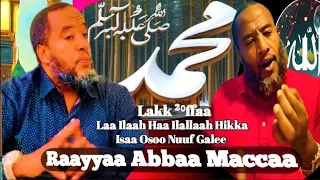 Raayyaa Abbaa Maccaa 