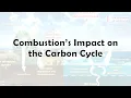 Combustion s Impact on the Carbon Cycle