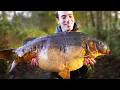 Download Lagu 5 Day CARP FISHING Challenge!
